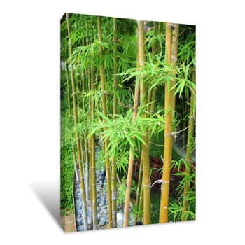 Image of Bamboo Garden 2 Canvas Print
