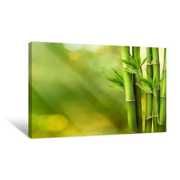 Image of Fresh Bamboo On Summer Background Canvas Print