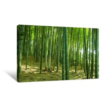 Image of Bamboo Forest Canvas Print
