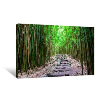 Image of Stone Steps At Pipiwai Trail At Bamboo Forest, Maui Canvas Print