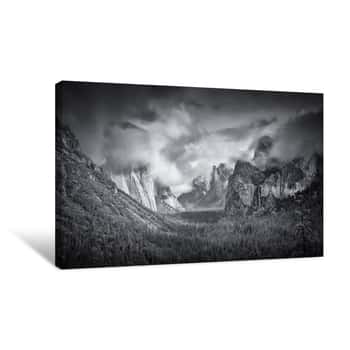 Image of Yosemite\'s Pines Canvas Print