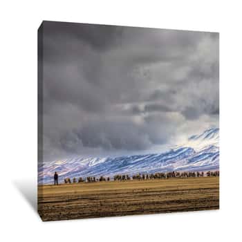 Image of Shepherds With His Flock In The Tianshan Mountains Canvas Print