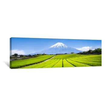 Image of Berg Fuji Und Teefelder In Japan Canvas Print