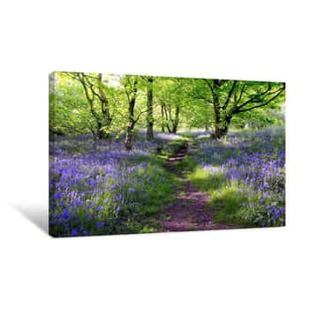 Image of Blue Bells Forest Canvas Print