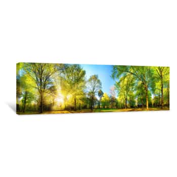 Image of Gorgeous Panoramic Spring Scenery With The Sun Beautifully Illuminating The Fresh Green Foliage Canvas Print