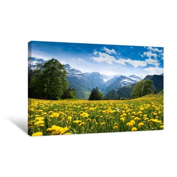 Image of View From Braunwald Canvas Print