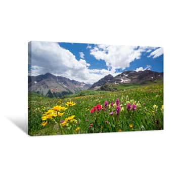 Image of Colorado Wild Flowers Canvas Print