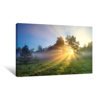 Image of Panorama Landscape With Sun And Forest And Meadow At Sunrise Canvas Print