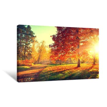 Image of Autumn Scene  Fall  Trees And Leaves In Sun Light Canvas Print