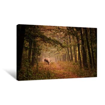 Image of Red Deer In A Forest Canvas Print