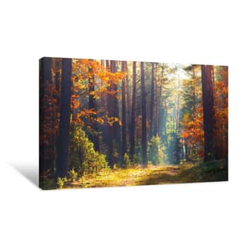 Image of Autumn Forest Scene Canvas Print