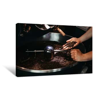 Image of Hands Of A Men Holding A Fresh Roasted Bean Above A Metal Drum Full Of Coffee Beans Canvas Print