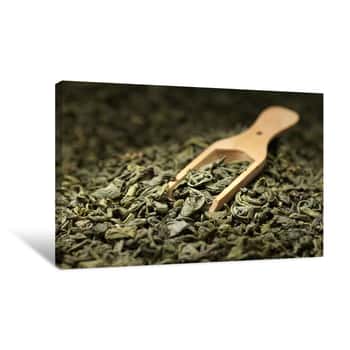 Image of Green Tea Leaves Canvas Print