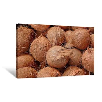 Image of Coconuts Canvas Print