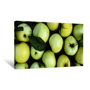 Image of Sweet Green Apple Top View Background Canvas Print