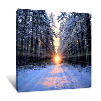 Image of Winter Forest Sunrise Canvas Print