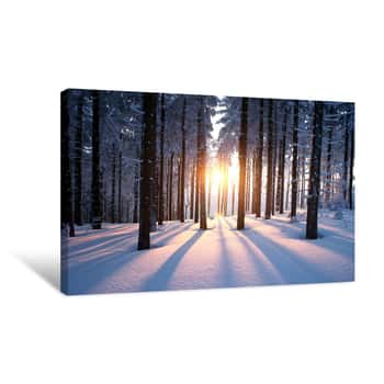 Image of Light Through the Trees Canvas Print