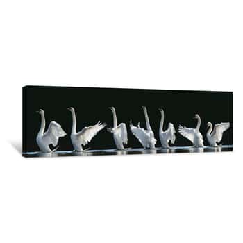 Image of The 7 Swans Canvas Print