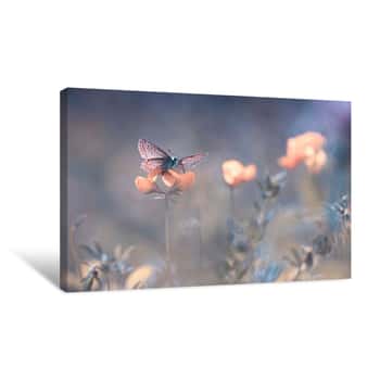 Image of Butterfly Flower Canvas Print
