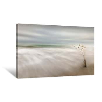 Image of Blurred Beach Canvas Print