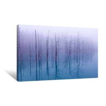 Image of Misty Blue Pond Canvas Print
