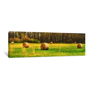 Image of A Spring Pasture Panorama Canvas Print
