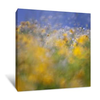 Image of Blurred Floral Canvas Print