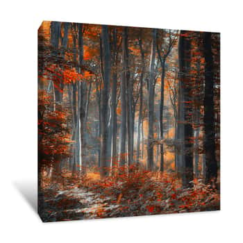 Image of Orange Forest Canvas Print