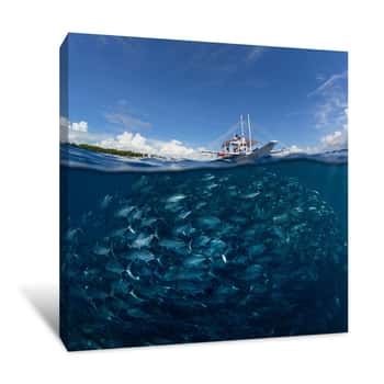 Image of Half View Underwater and Over water Canvas Print
