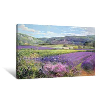 Image of Lavender Fields Canvas Print