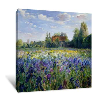 Image of Evening at the Iris Field Canvas Print