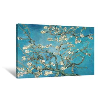 Image of Almond Blossom Canvas Print