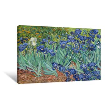 Image of Irises Canvas Print
