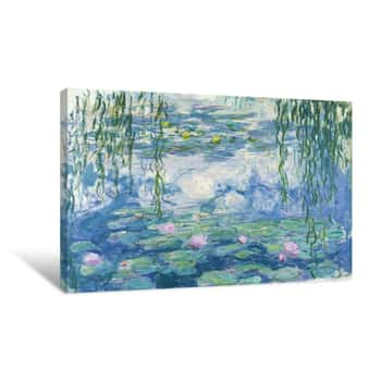 Image of Waterlilies Canvas Print