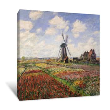 Image of Tulip Fields Canvas Print