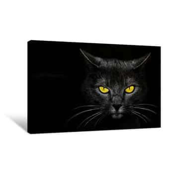 Image of Monster Kill Cat Canvas Print