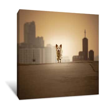 Image of Dog Running Up A Street Canvas Print