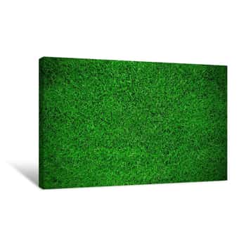 Image of Green Grass Background Canvas Print