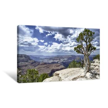 Image of Tree Over The Canyon Canvas Print