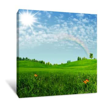 Image of Rainbow Meadow Canvas Print