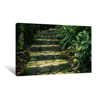 Image of Ancient Stone Steps Canvas Print