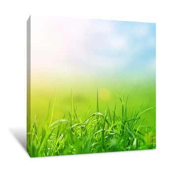 Image of Spring Growth Canvas Print