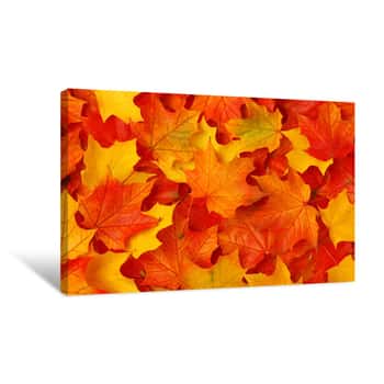 Image of Autumn Leaves Canvas Print