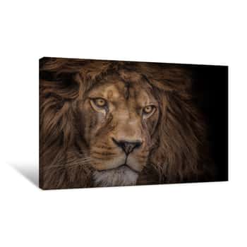 Image of The Lion Canvas Print