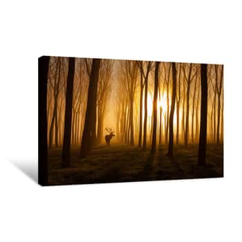Image of Deer In Sunrise Forest Canvas Print