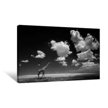 Image of Giraffe Gone with the Clouds Canvas Print