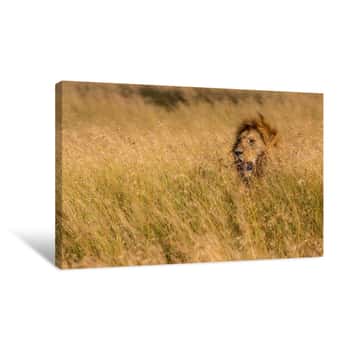 Image of The Lion King Canvas Print
