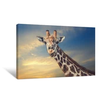 Image of Big Friendly Giraffe Canvas Print