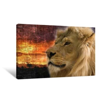 Image of Lion Sunset Canvas Print