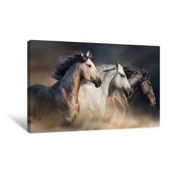 Image of Horses With Long Mane Portrait Run Gallop In Desert Dust Canvas Print